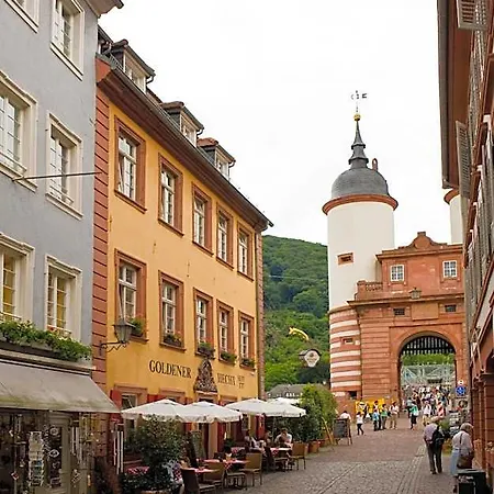 Goldener Hecht