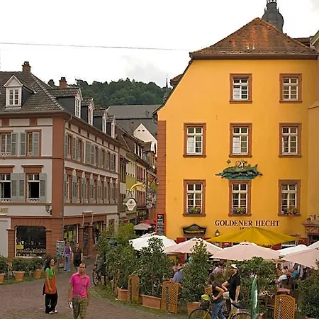 Goldener Hecht 3*