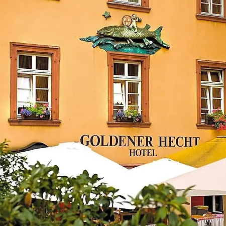 Goldener Hecht