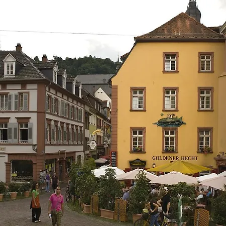 Goldener Hecht 3*