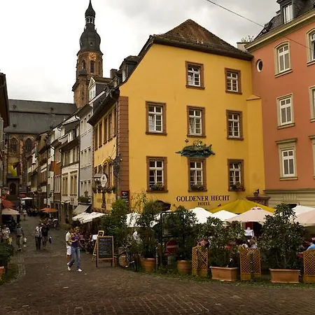 Goldener Hecht