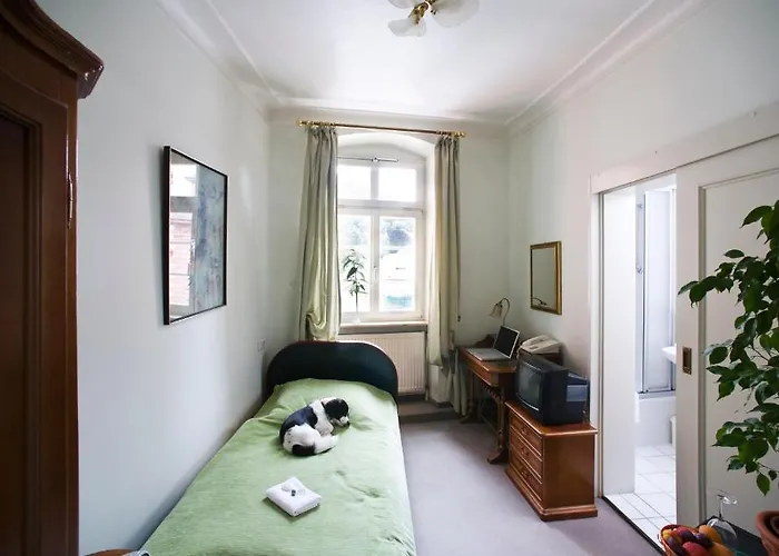 Hotel Goldener Hecht Heidelberg